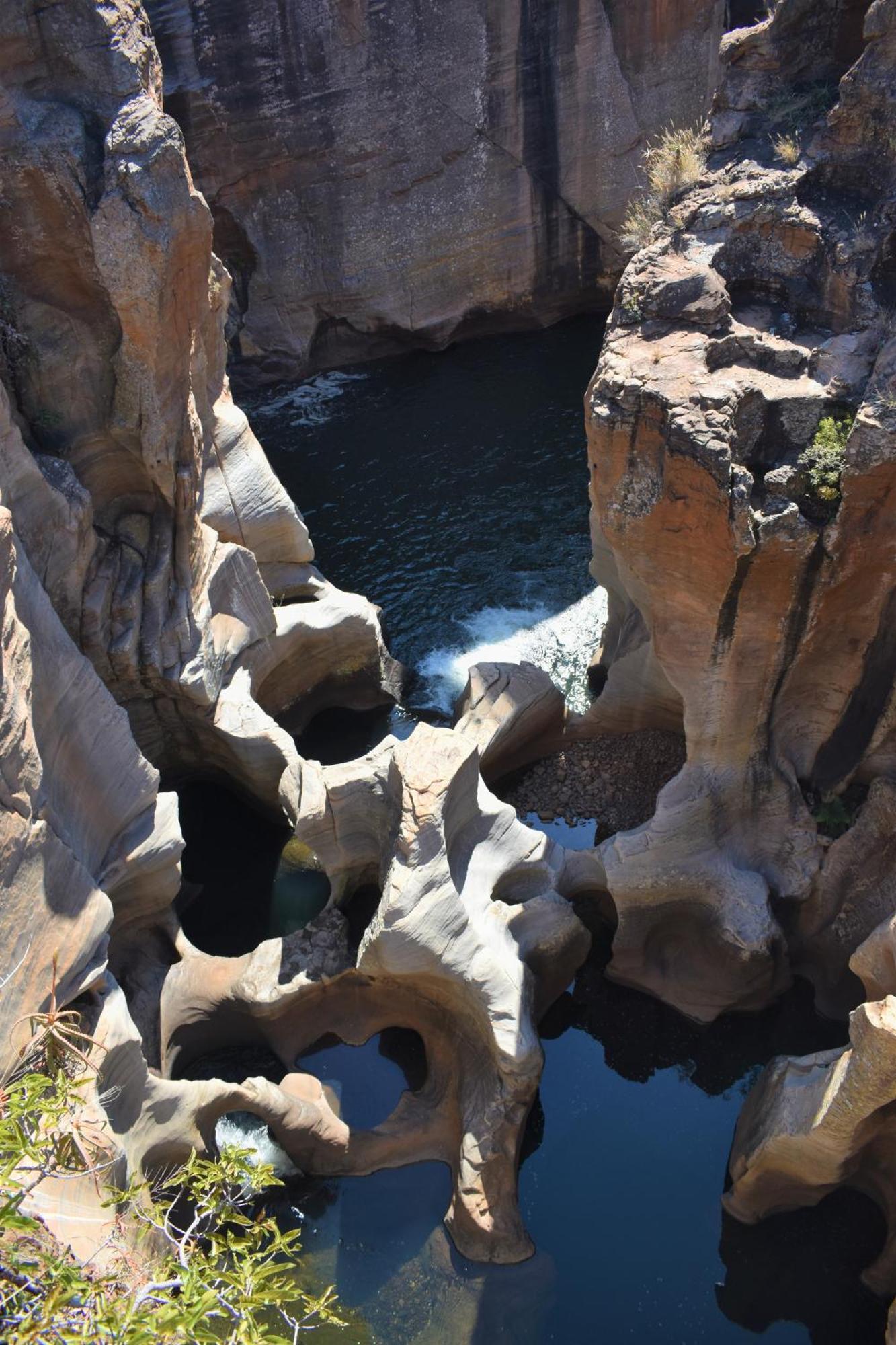 The Baobab Bush Lodge And Villa Hoedspruit Dış mekan fotoğraf