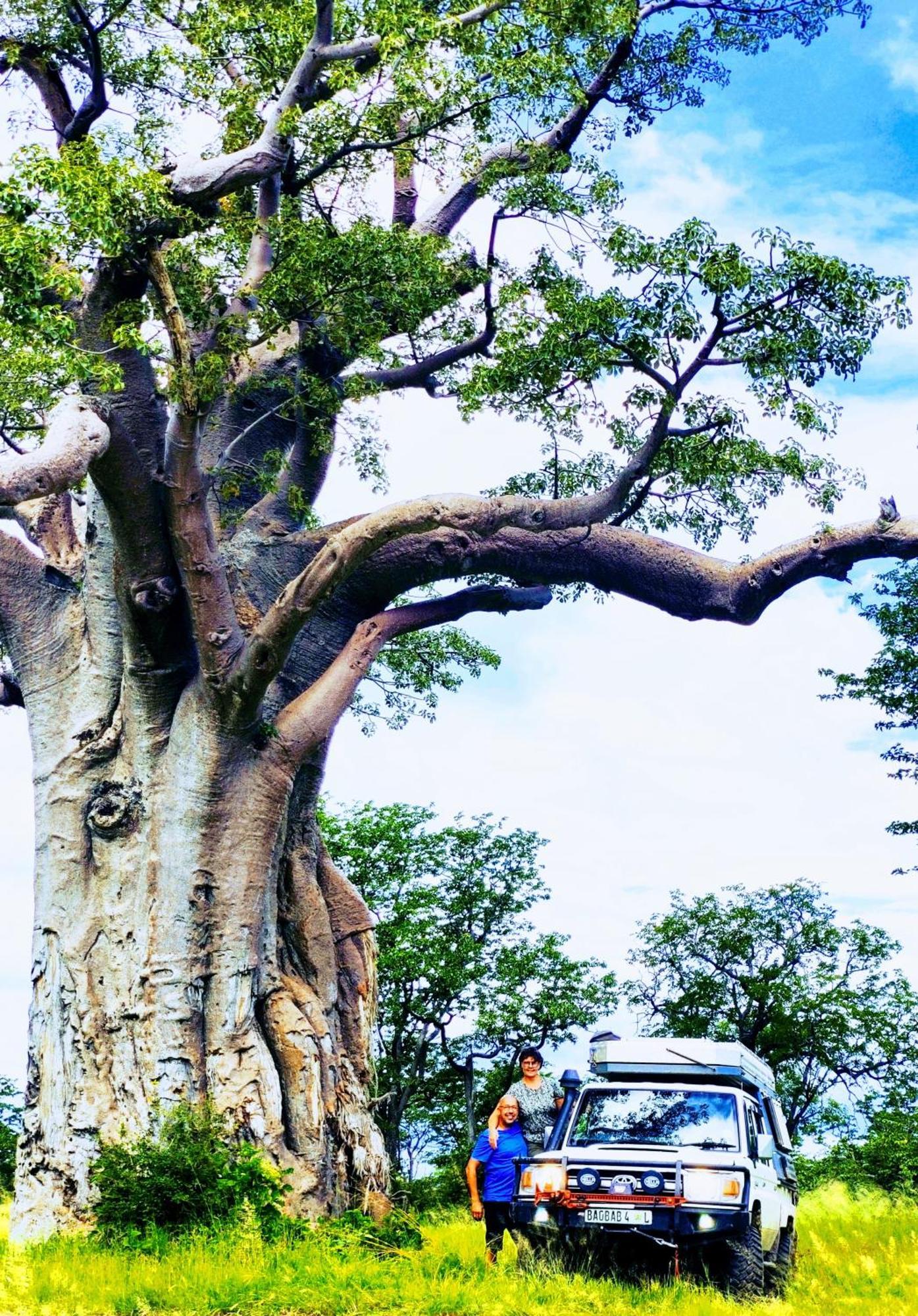 The Baobab Bush Lodge And Villa Hoedspruit Dış mekan fotoğraf